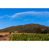 Simelia Wines - Fluvius Reserve Merlot 2017
