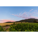 Simelia Wines - Senectus Reserve Syrah 2017
