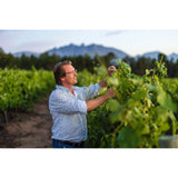 Simelia Wines - Delucius Merlot 2021