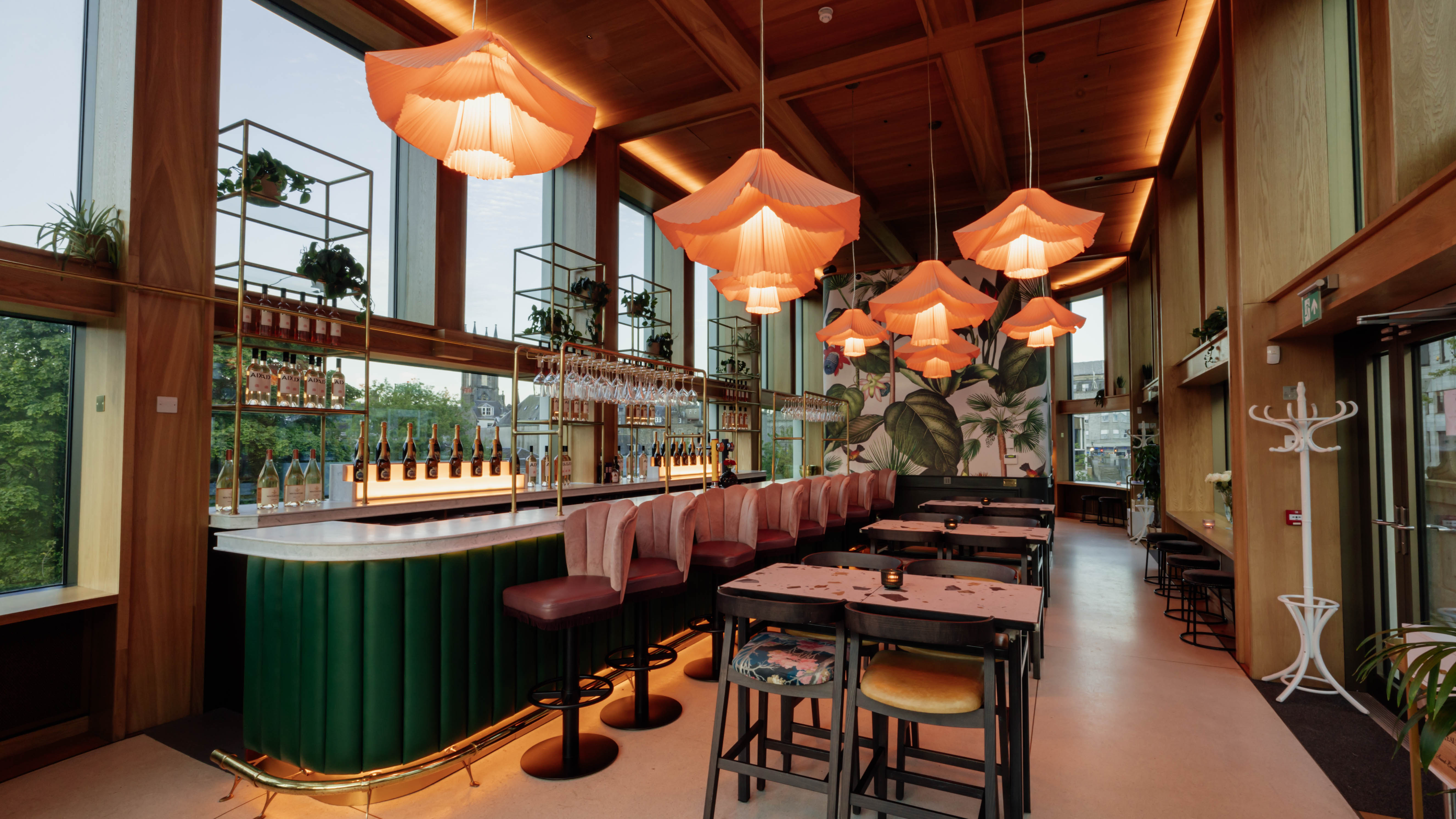 The next chapter of the SugarBird story...