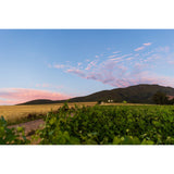 Simelia Wines - Senectus Reserve Syrah 2017
