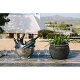 Genevieve MCC Blanc de Blanc 2021